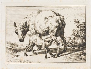 De Ooi met Twee Lammeren door Charles Meryon