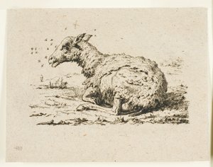 De Schapen en de Vliegen door Charles Meryon