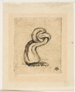 De Zieke Cryptogam door Charles Meryon
