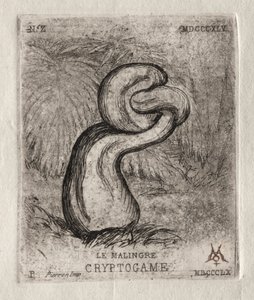 De Zieke Cryptogam door Charles Meryon
