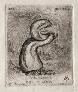 De zieke cryptogam, 1860 door Charles Meryon