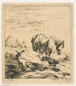 De twee paarden