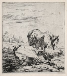 De twee paarden