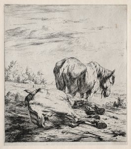 De twee paarden