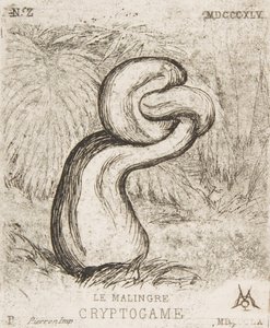 De nietige Cryptogamia, 1860 door Charles Meryon