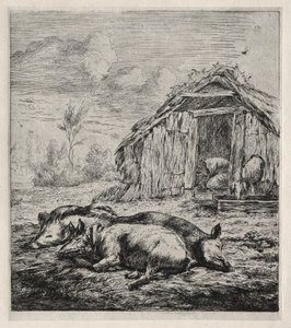 Drie varkens liggend voor een hok door Charles Meryon