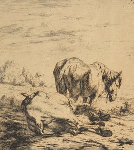 Twee paarden
