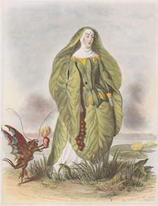 Nenuphar, uit Les Fleurs Animées, 1847
