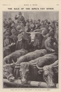 Vee van de koninklijke boerderijen in Windsor te koop op de veemarkt van Slough, Berkshire door Charles Mills (after) Sheldon