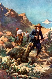 De Reuzenschildpadden van de Galapagos Eilanden