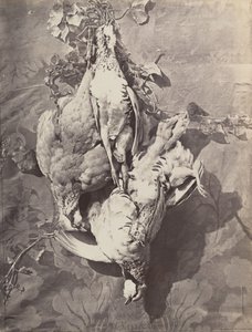 Stilleven met wildvogels door Charles Nègre