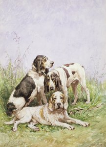 Een groep Franse honden door Charles Oliver de Penne