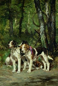 Een roedel honden