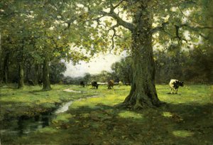 Meadow Brook