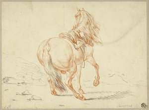 Ruiterloos paard