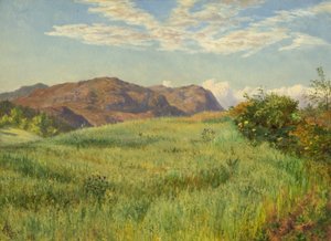 Een hoogland haverakker door Charles Parsons Knight
