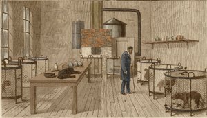 Honden in kooien in het laboratorium van Louis Pasteur door Charles Paul Renouard