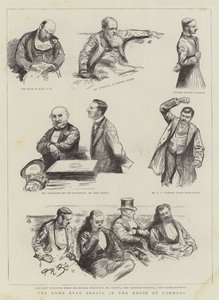 Het Home Rule Debat in het Lagerhuis