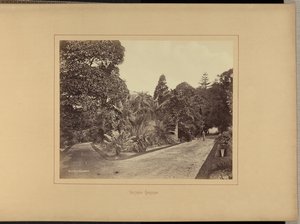 Botanische tuinen