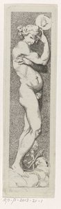 Het genie