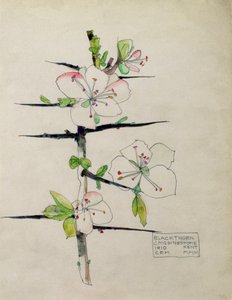 Blackthorn, Chiddingstone, Kent, 1910
