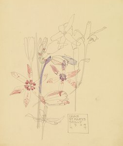 Ixias door Charles Rennie Mackintosh