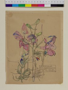 Ridderspoor, 1914 door Charles Rennie Mackintosh