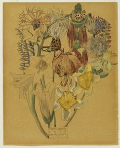 Mont Louis - Bloemenstudie, 1925 door Charles Rennie Mackintosh