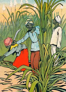 Aan het werk tussen de suikerriet, 1912 door Charles Robinson