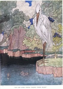 Hij zag wat brasems springen door Charles Robinson