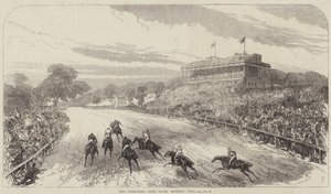 De Alexandra Park Races, Muswell Hill door Sir John Charles Robinson