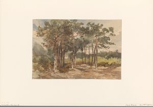 Boomgroep in de bossen bij Driebergen door Charles Rochussen