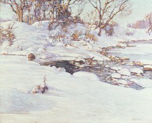 Winterzonlicht door Charles Rosen