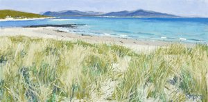 Strandgrassen, Berneray, 2011 (olieverf op doek) door Charles Simpson