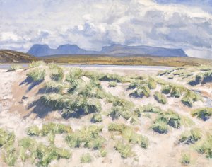 Duinen, Achnahaird, 2017 (olieverf op doek)