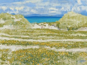 Glimpse of Harris, 2014 (olieverf op doek) door Charles Simpson