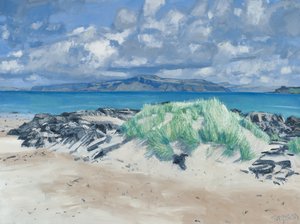 Rotsen en grassen, Iona, 2013 (olieverf op doek) door Charles Simpson