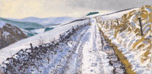Spoor naar Clovenfords, 2017 (olieverf op doek) door Charles Simpson