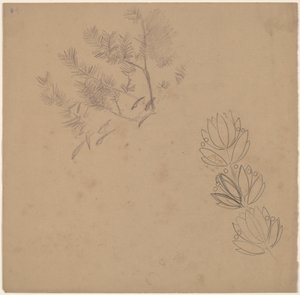 Studie voor een Randontwerp met een Schets van een Boom door Charles Sprague Pearce