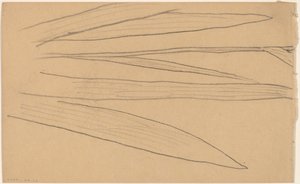Studie van een Bloem (verso)