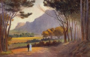 Kaapse Schiereiland, Zuid-Afrika: Alphen door Charles Stephen Meacham