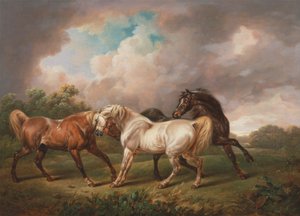 Drie Paarden in een Stormachtig Landschap door Charles Towne