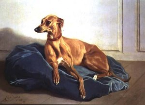 Studie van een hond door Charles Verlat