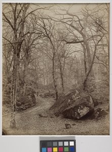 Fontainebleau, c.1870 door Charles Victor Famin