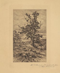 Landschap met Schapen