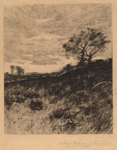 Landschap