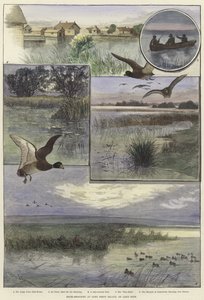 Eendenschieten op Long Point Island door Charles Whymper