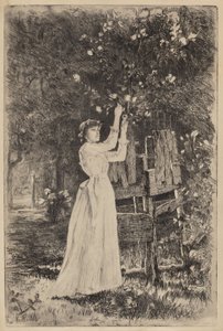 Zonder titel (Vrouw die bloemen plukt)