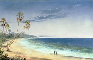 Cubaans Landschap