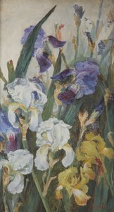 Irissen, 1882 door Charlotte Hodder